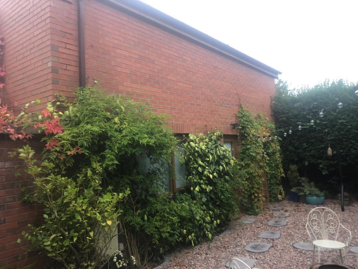 Self Contained Coach House In Leafy South Belfast The Location Is Not Accurate Apartman Kültér fotó